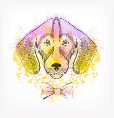 Hipster köpek el çizilmiş portresi 