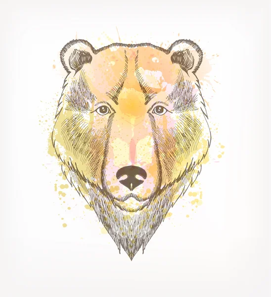 Retrato dibujado a mano del oso hipster — Vector de stock