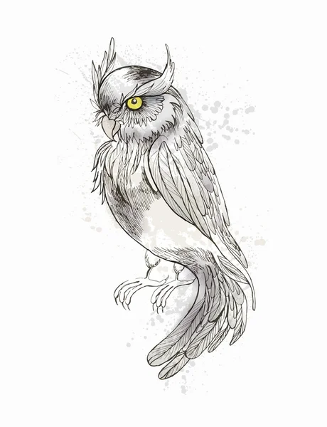 Ручной рисунок совы — стоковый вектор