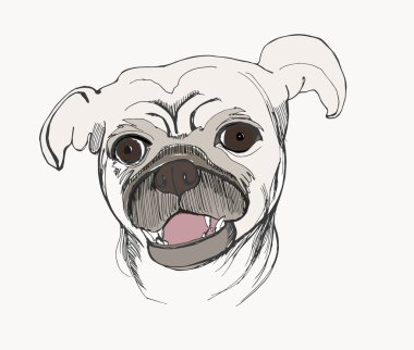 Kart şablonu ile pug