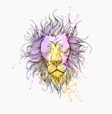 El Drawn aslan