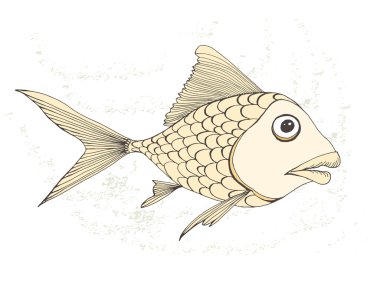 Suluboya deniz balıkları