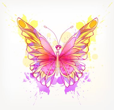 Suluboya renkli kelebek