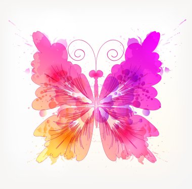 Suluboya renkli kelebek