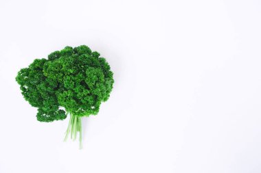 Beyaz bir arka planda, bir demet maydanoz. Metnin için yer.