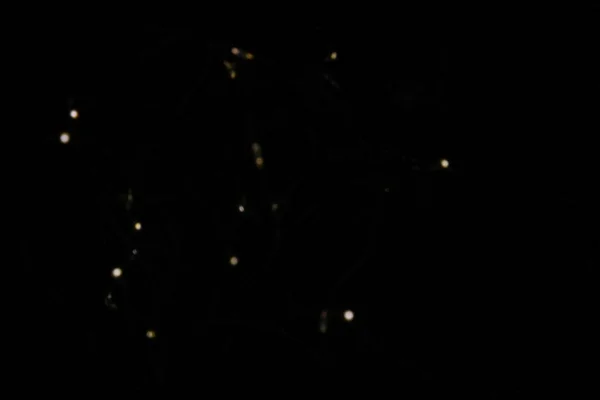 검은 배경 위에서는 황금색 입자들이 톱니와 렌즈 섬광을 일으킨다 — 스톡 사진