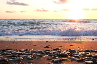 plaj ve tropikal deniz 