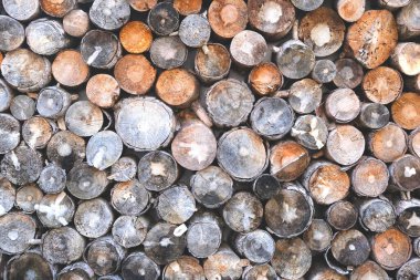 Güneşli bir günde, ormanın içinde bir odun yığını, yakın plan. Ahşap arkaplan. 