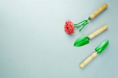 Gri arka plan, bahçe bakımı, peyzaj ve hobi konularında bahçe aletleri