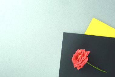 Gri sarı ve siyah arkaplanda kırmızı gül. Metnin için yer.