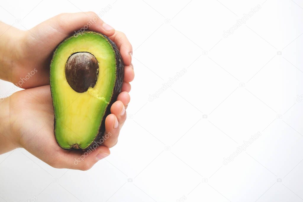 In the hands of a green avocado. Natural fresh organic exotic fruits.