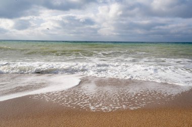 Deniz kıyısında. Plaj tatili.