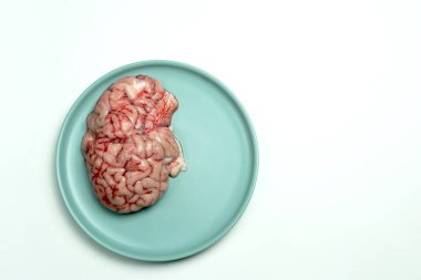  Taze ve çiğ beyin. Kızartma bheja ya da bheja masala için ideal.. 