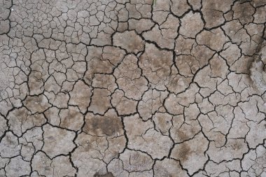 Çatlak toprak. Çöl manzarası arka planı. 