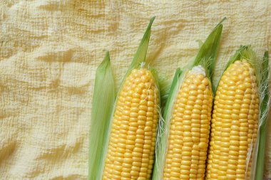 Koçandaki taze mısırlar. Kopyalama alanı olan üst görünüm