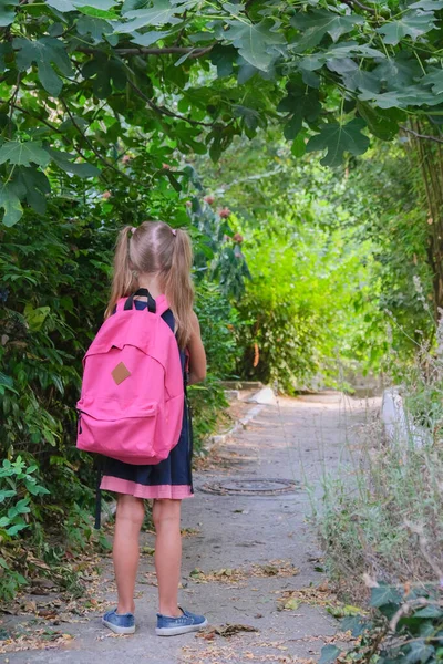 Back to school. A girl with school backpacks goes to school. The child walks near the school garden. students new year.