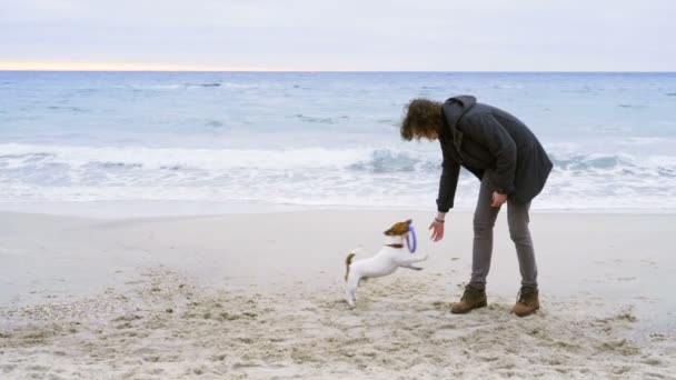 Joven hombre lanzar anillo juguete a su perro en la playa cámara lenta — Vídeo de stock