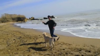 plaj yavaş hareket üzerinde köpeğiyle oynayan genç adam