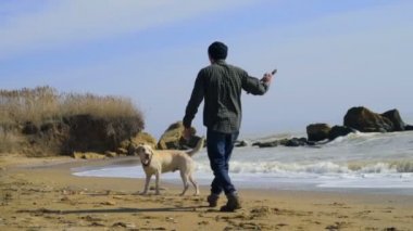 plaj yavaş hareket üzerinde köpeğiyle oynayan genç adam