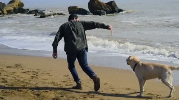 Młody człowiek z psem na plażę zwolnionym tempie — Wideo stockowe