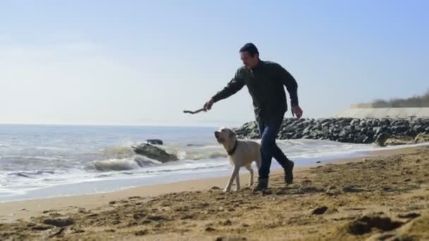 Jeune homme courant avec son chien sur la plage au ralenti — Video