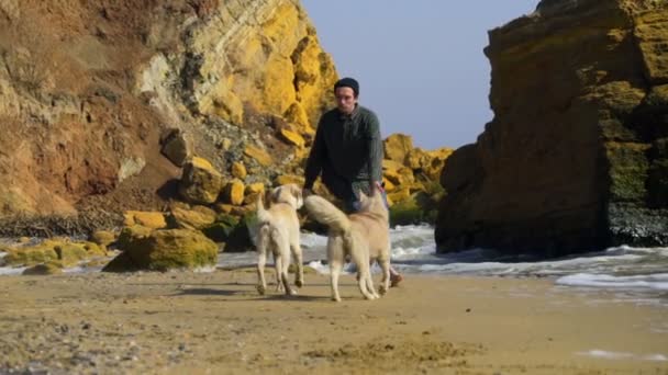 Молодий чоловік танцює з двома собаками на пляжі повільний рух — стокове відео