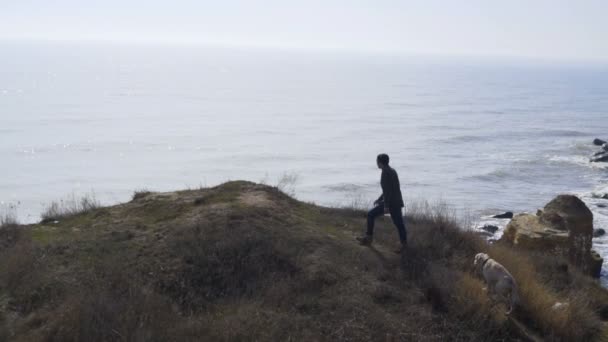 Человек и собака взбираются на скалу и смотрят далеко в море замедленным движением — стоковое видео