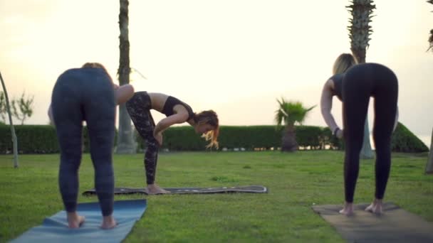 Üç kadın Yoga üzerinde çim ağır çekim yaparken — Stok video