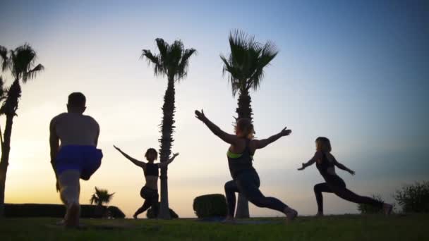 Group of people doing yoga on grass by the sea at dawn slow motion — Stock Video