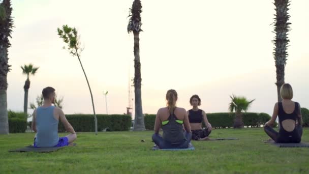 Група людей, що медитують на траві повільний рух — стокове відео