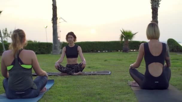 Три женщины занимаются дыхательной практикой на траве — стоковое видео