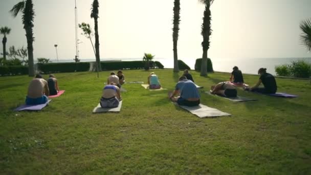 Група людей, що практикують йогу на траві біля моря повільний рух — стокове відео
