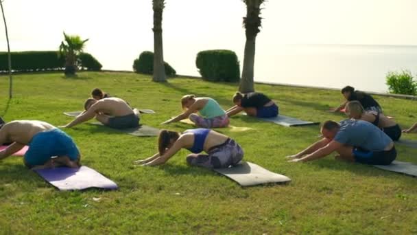 Grupo de personas practicando yoga en la hierba junto al mar cámara lenta — Vídeo de stock