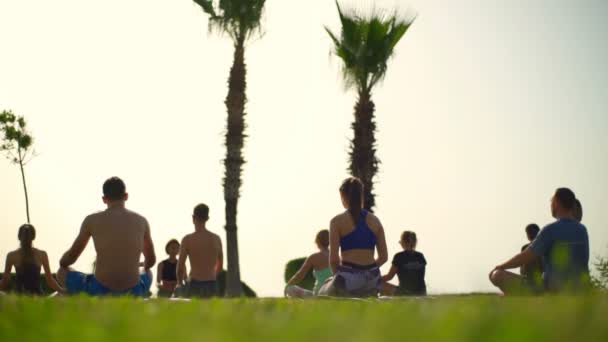 Grupo de personas practicando yoga en la hierba junto al mar cámara lenta — Vídeos de Stock