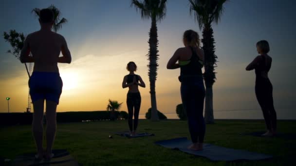 Silhouette einer Gruppe von Menschen, die Yoga im Gras am Meer bei Tagesanbruch in Zeitlupe machen — Stockvideo