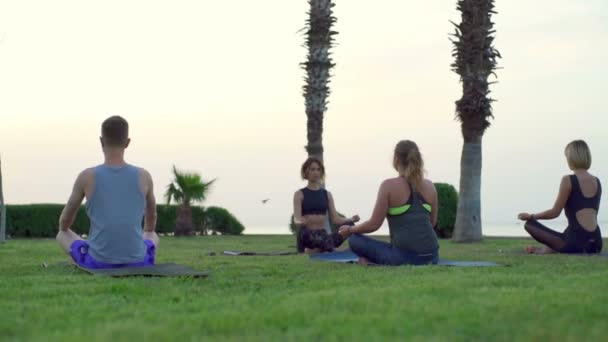 Groep mensen mediteren op het gras slow motion — Stockvideo