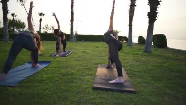 Bir grup insan tarafından şafak ağır çekim denizde çimenlerin üzerinde yoga yaparken — Stok video