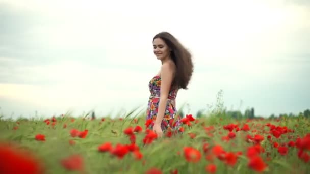 Young smiling female in windy poppy field slow motion — Stock Video
