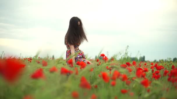 Молодая красивая женщина ходит в маковом поле замедленной съемки — стоковое видео
