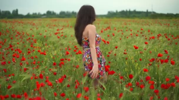 Молодая женщина кружится в маковом поле замедленной съемки — стоковое видео