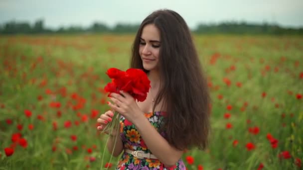 フィールドのスローモーションでケシの花の花束でポーズ美しい女性 — ストック動画