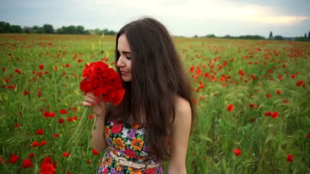 Hezká žena sniffs máku kytice pak vypadá fotoaparát pomalý pohyb — Stock video