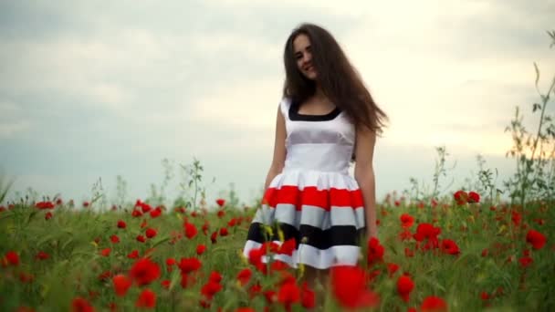 Pretty young female posing to camera in poppy field slow motion — Stock Video