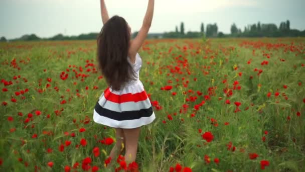 Feliz fêmea girando ao redor no campo de papoula câmera lenta — Vídeo de Stock