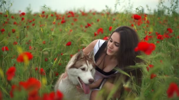 Jovem fêmea e husky cão sentado em papoilas câmera lenta — Vídeo de Stock