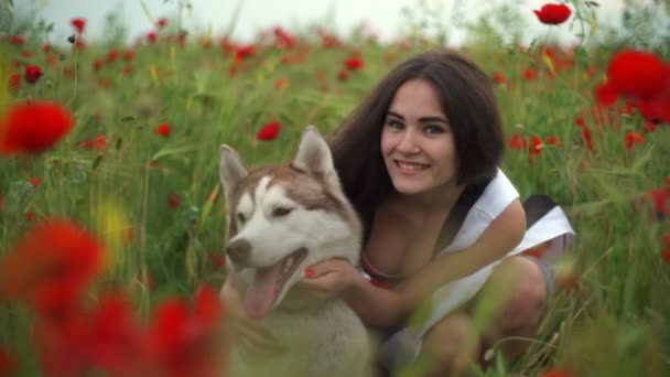 Fêmea feliz e cão husky posando no campo de papoula câmera lenta — Vídeo de Stock