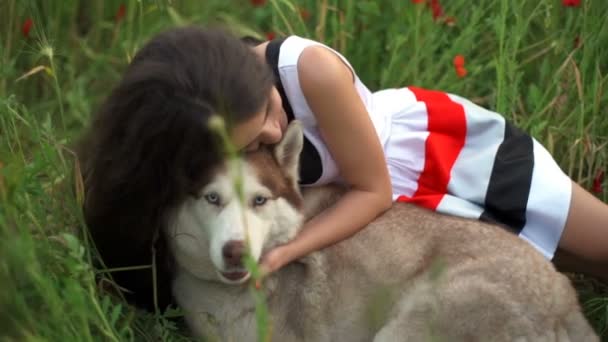 Young female and husky dog lie in poppy field slow motion — Stock Video