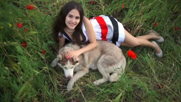 Young female and husky dog lie in poppy field slow motion — Stock Video