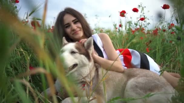 Jovem fêmea e husky cão mentira no campo de papoula e olhar para câmera câmera câmera câmera lenta — Vídeo de Stock