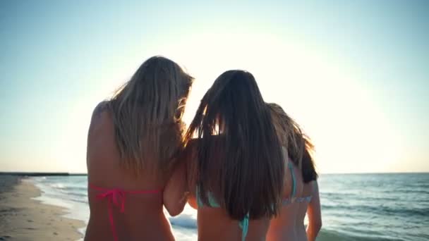 Back view close up meninas alegres em biquíni andando na praia câmera lenta — Vídeo de Stock